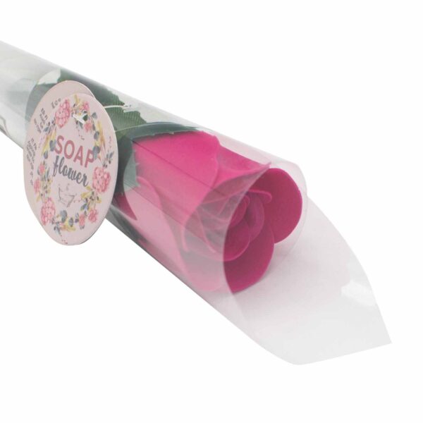 Tvålblommor - Liten Ros i Rosa